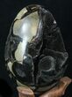 Septarian Dragon Egg Geode With Black Calcite #33500-3